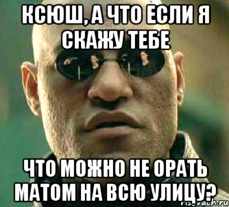 ксюш, а что если я скажу тебе что можно не орать матом на всю улицу?, Мем  а что если я скажу тебе