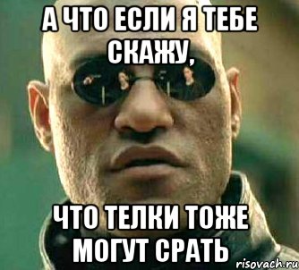 а что если я тебе скажу, что телки тоже могут срать, Мем  а что если я скажу тебе