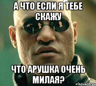 а что если я тебе скажу что арушка очень милая?, Мем  а что если я скажу тебе