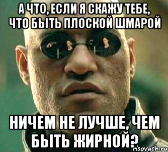 а что, если я скажу тебе, что быть плоской шмарой ничем не лучше, чем быть жирной?, Мем  а что если я скажу тебе