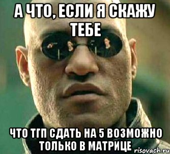 а что, если я скажу тебе что тгп сдать на 5 возможно только в матрице, Мем  а что если я скажу тебе