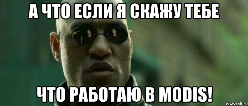 а что если я скажу тебе что работаю в modis!, Мем А что если я скажу тебе