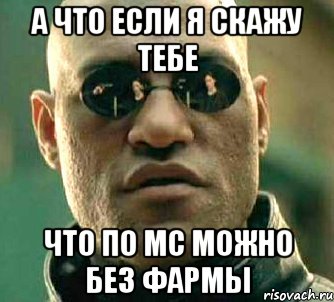 а что если я скажу тебе что по мс можно без фармы, Мем  а что если я скажу тебе