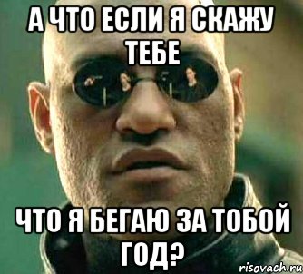 а что если я скажу тебе что я бегаю за тобой год?, Мем  а что если я скажу тебе