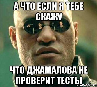 а что если я тебе скажу что джамалова не проверит тесты, Мем  а что если я скажу тебе