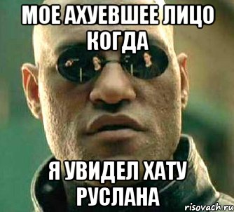 мое ахуевшее лицо когда я увидел хату руслана, Мем  а что если я скажу тебе