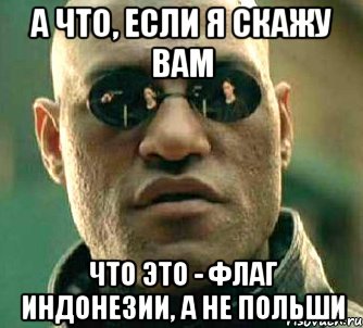 а что, если я скажу вам что это - флаг индонезии, а не польши, Мем  а что если я скажу тебе