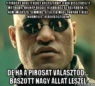 a pirosat vagy a kéket választod?! a kék visszavisz a mátrixba. holnap reggel felébredsz az ágyadban, és nem emlékszel semmire. az életed megy tovább a régi "normális" kerékvágásban. de ha a pirosat választod... baszott nagy állat leszel, Мем  а что если я скажу тебе