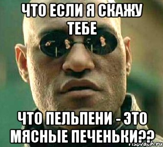 что если я скажу тебе что пельпени - это мясные печеньки??, Мем  а что если я скажу тебе