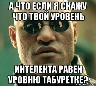 а что если я скажу что твой уровень интелекта равен уровню табуретке?, Мем  а что если я скажу тебе