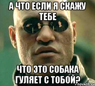 а что если я скажу тебе что это собака гуляет с тобой?, Мем  а что если я скажу тебе