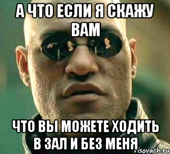 а что если я скажу вам что вы можете ходить в зал и без меня, Мем  а что если я скажу тебе