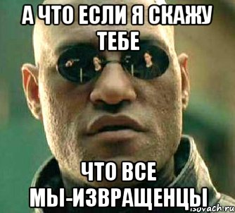 а что если я скажу тебе что все мы-извращенцы, Мем  а что если я скажу тебе