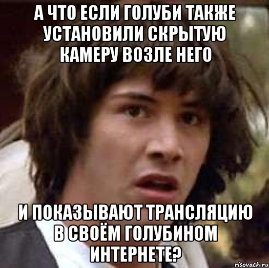 а что если голуби также установили скрытую камеру возле него и показывают трансляцию в своём голубином интернете?, Мем А что если (Киану Ривз)