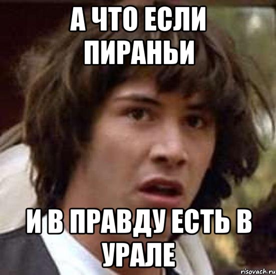 а что если пираньи и в правду есть в урале, Мем А что если (Киану Ривз)