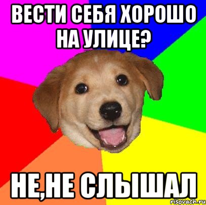 вести себя хорошо на улице? не,не слышал, Мем Advice Dog