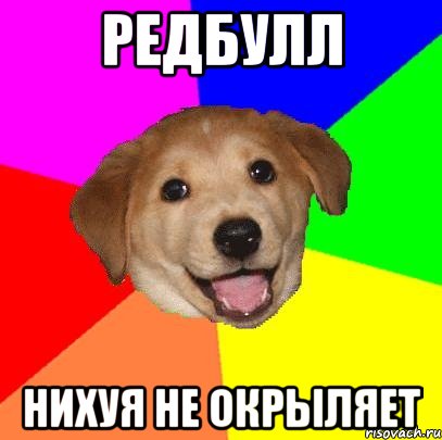 редбулл нихуя не окрыляет, Мем Advice Dog