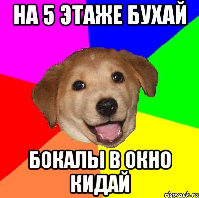 на 5 этаже бухай бокалы в окно кидай, Мем Advice Dog