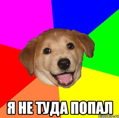  я не туда попал, Мем Advice Dog