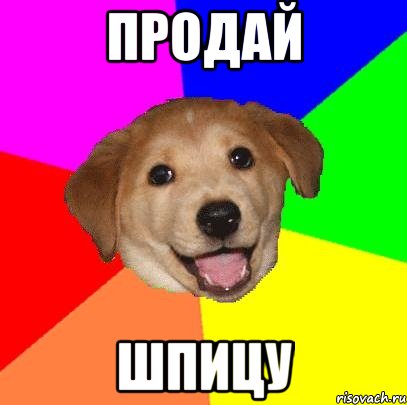 продай шпицу, Мем Advice Dog