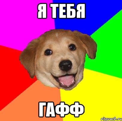 я тебя гафф, Мем Advice Dog