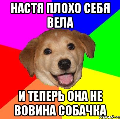 настя плохо себя вела и теперь она не вовина собачка, Мем Advice Dog