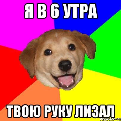 я в 6 утра твою руку лизал, Мем Advice Dog