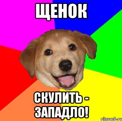 щенок скулить - западло!, Мем Advice Dog