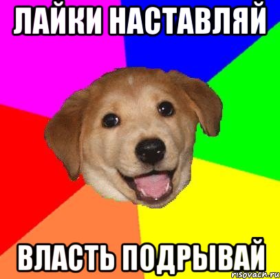 лайки наставляй власть подрывай, Мем Advice Dog