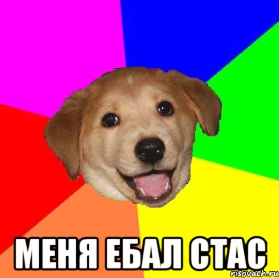  меня ебал стас, Мем Advice Dog