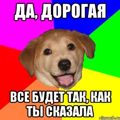 да, дорогая все будет так, как ты сказала, Мем Advice Dog