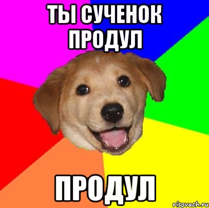 ты сученок продул продул, Мем Advice Dog