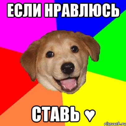 если нравлюсь ставь ♥, Мем Advice Dog