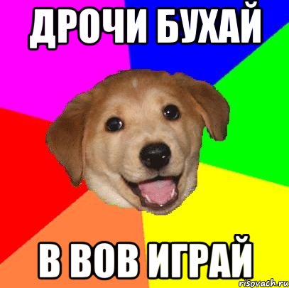 дрочи бухай в вов играй, Мем Advice Dog