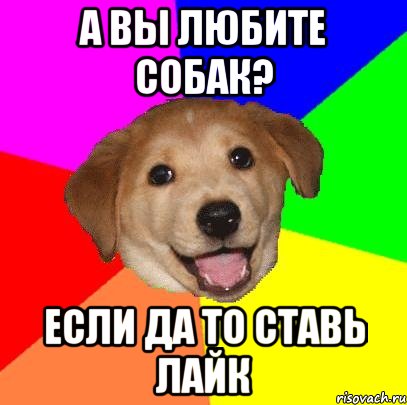 а вы любите собак? если да то ставь лайк, Мем Advice Dog