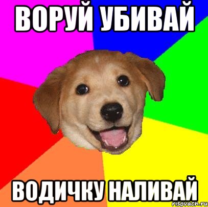 воруй убивай водичку наливай, Мем Advice Dog