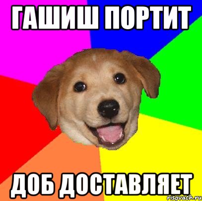 гашиш портит доб доставляет, Мем Advice Dog