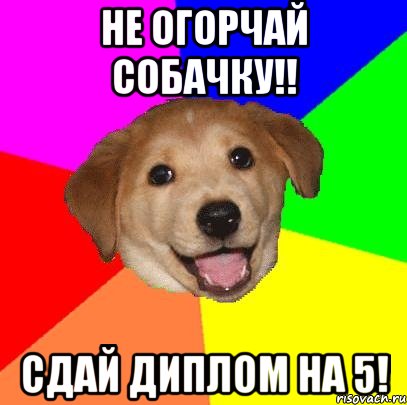 не огорчай собачку!! сдай диплом на 5!, Мем Advice Dog