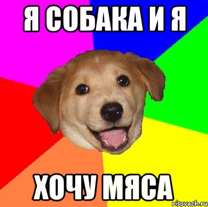 я собака и я хочу мяса, Мем Advice Dog