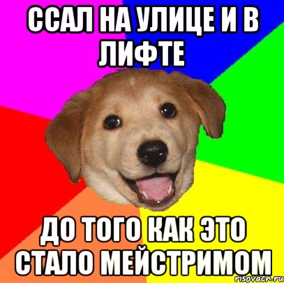 ссал на улице и в лифте до того как это стало мейстримом, Мем Advice Dog