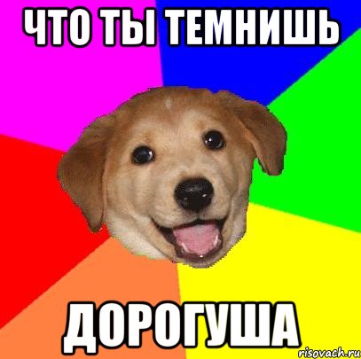 что ты темнишь дорогуша, Мем Advice Dog