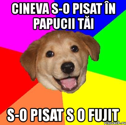 cineva s-o pisat în papucii tăi s-o pisat s o fujit, Мем Advice Dog