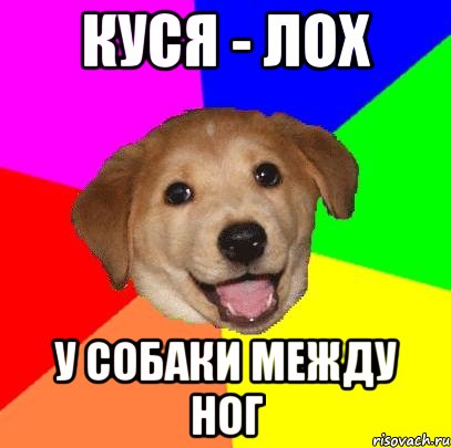 куся - лох у собаки между ног, Мем Advice Dog