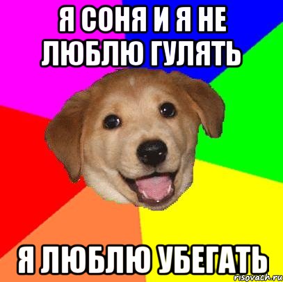 я соня и я не люблю гулять я люблю убегать, Мем Advice Dog