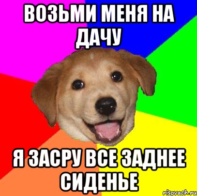 возьми меня на дачу я засру все заднее сиденье, Мем Advice Dog