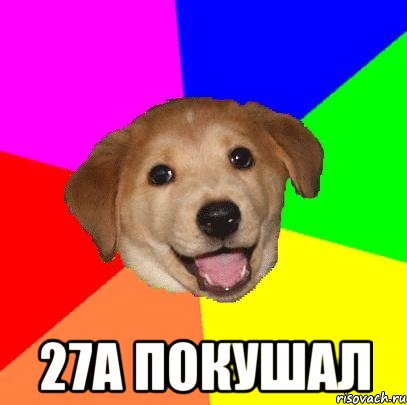  27а покушал, Мем Advice Dog