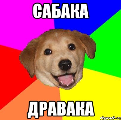 сабака дравака, Мем Advice Dog