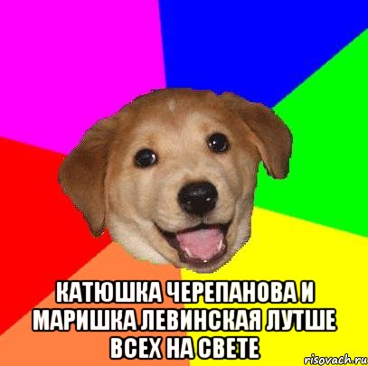  катюшка черепанова и маришка левинская лутше всех на свете, Мем Advice Dog