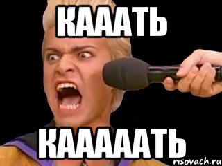 кааать кааааать