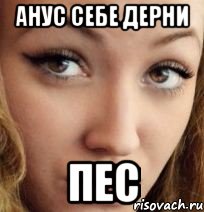 анус себе дерни пес, Мем Алиночка